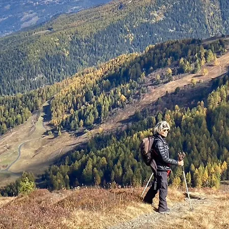 Chalet Au Coeur De Chalet La Plagne