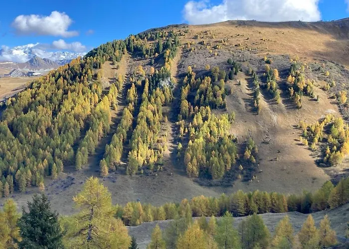 Chalet Chalet Au Coeur De *