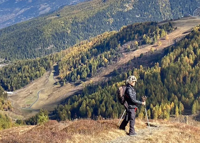 Chalet Au Coeur De Chalet La Plagne